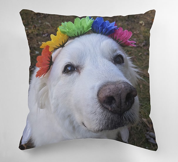 Pet pillow with custom designs