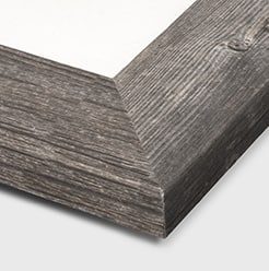 Western Grey Wood