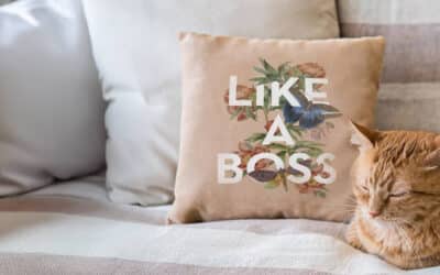 Selling Print on Demand Pet Products