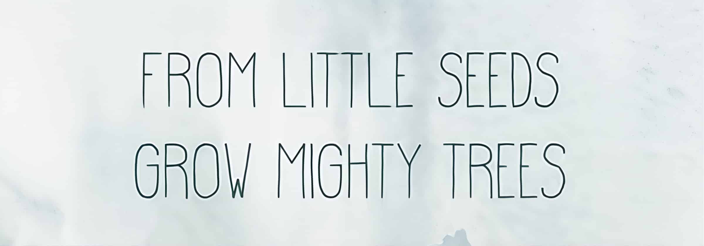 Little Grower I by Grace Popp