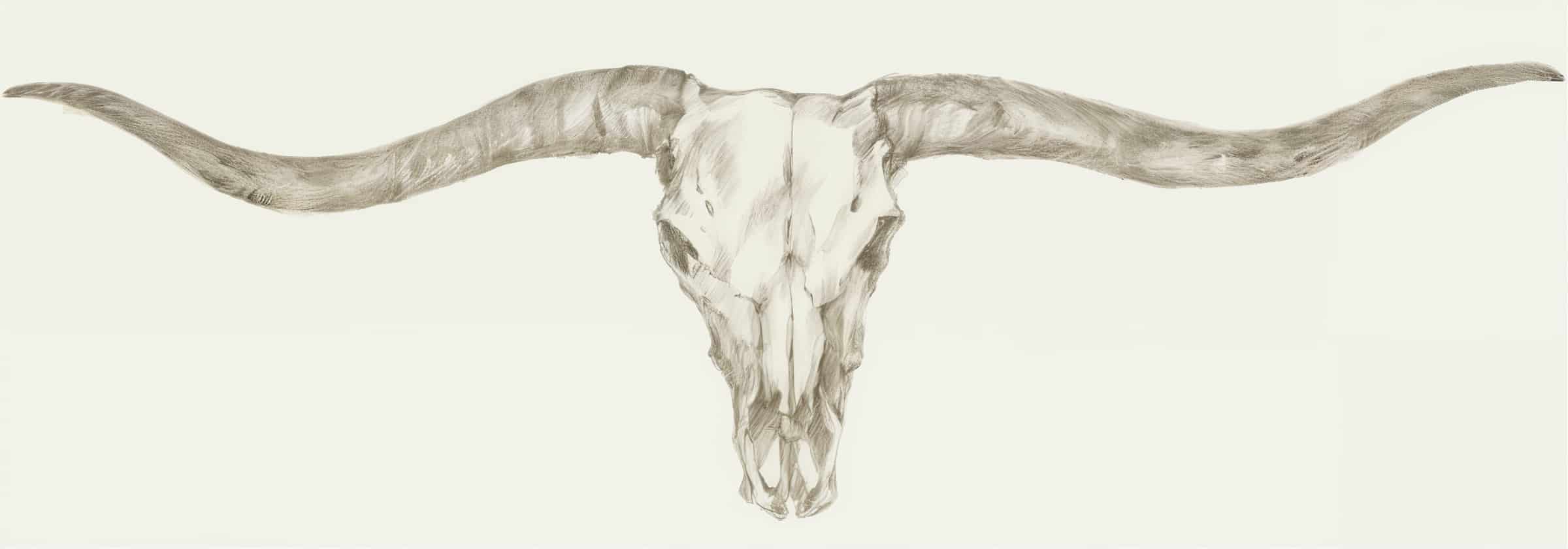 Western Skull Mount III by Ethan Harper